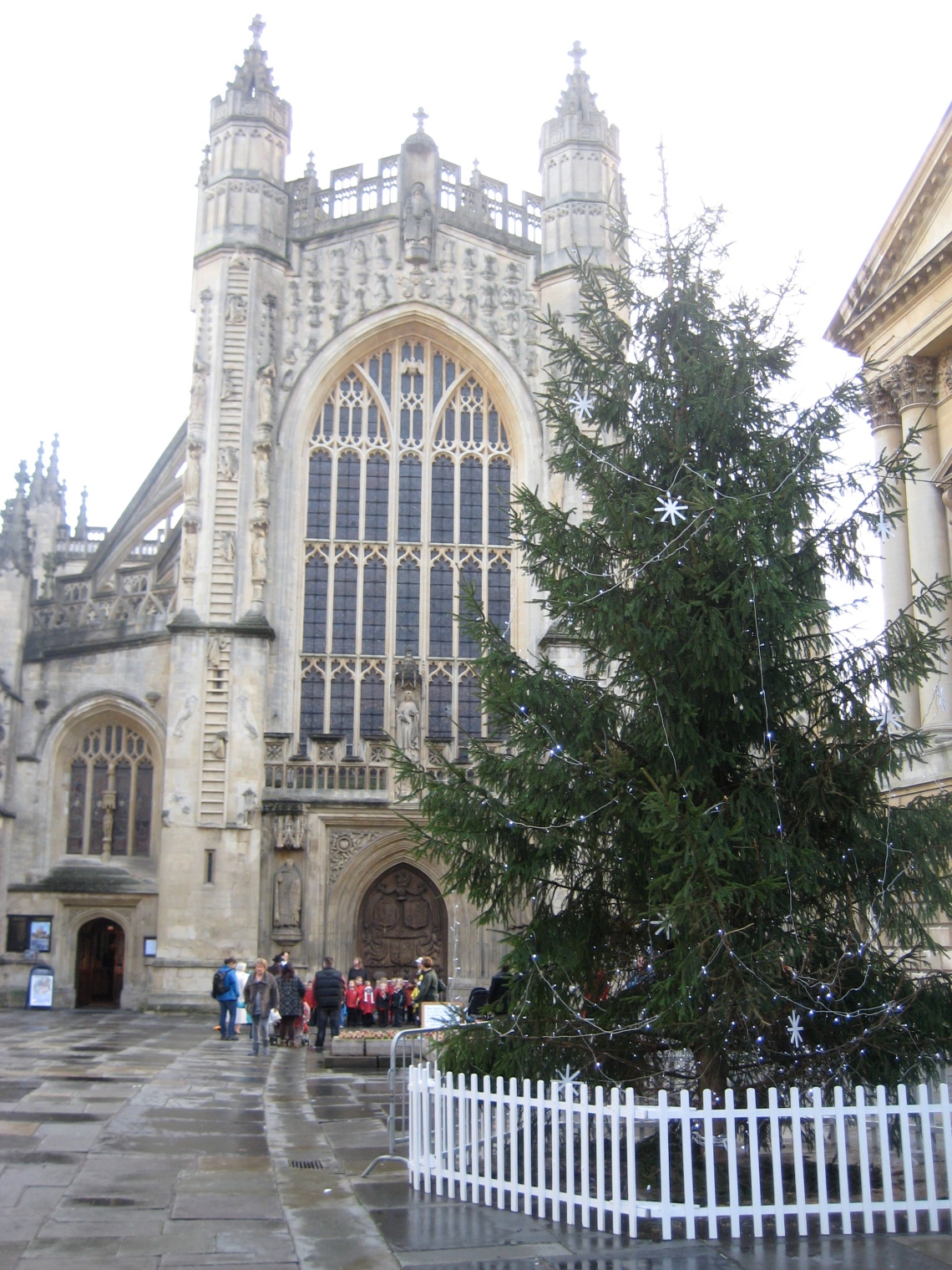 tree and abbey