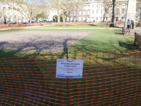 The new turf can be seen on The Lawn in Queen Square.